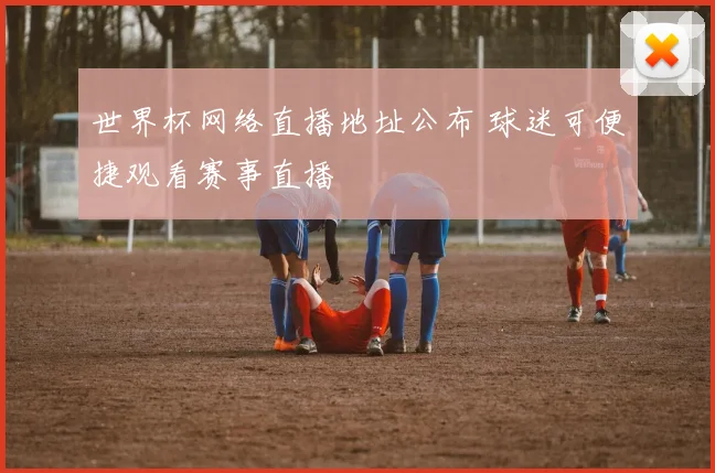 世界杯网络直播地址公布 球迷可便捷观看赛事直播