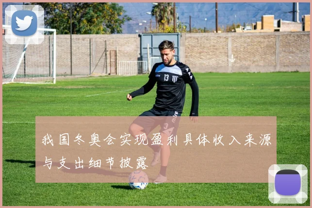 我国冬奥会实现盈利具体收入来源与支出细节披露