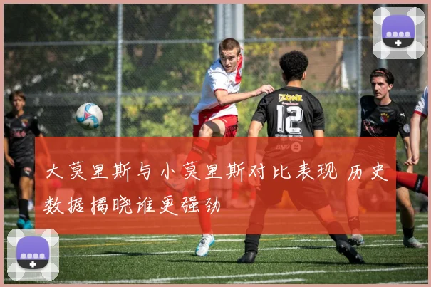 大莫里斯与小莫里斯对比表现 历史数据揭晓谁更强劲